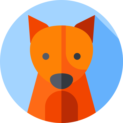 Robert Fox